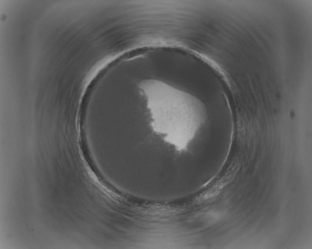 X0000067390935200604031029