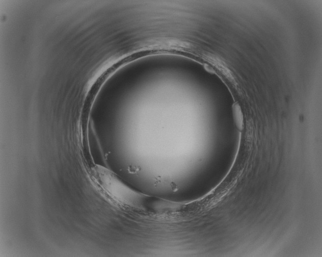 X0000067390936200604031029