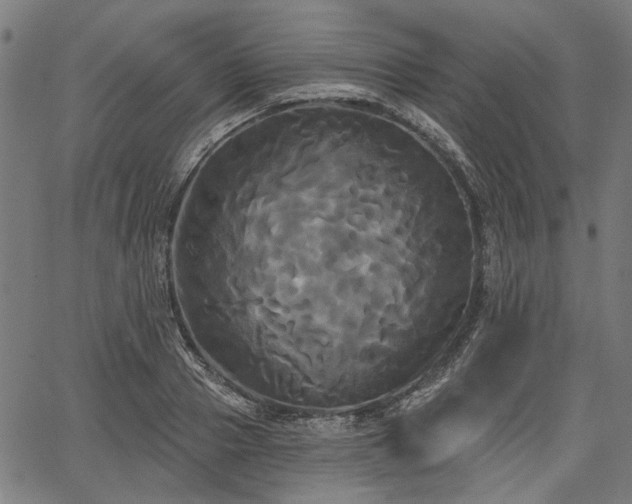 X0000067390937200604031029