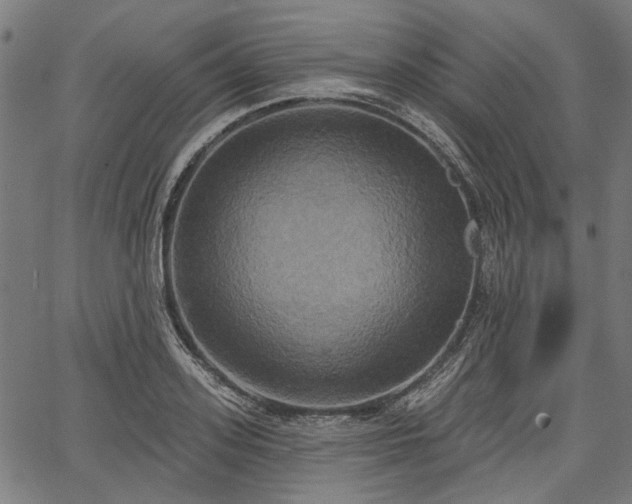 X0000067390939200604031029