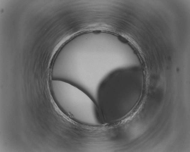 X0000067390941200604031029