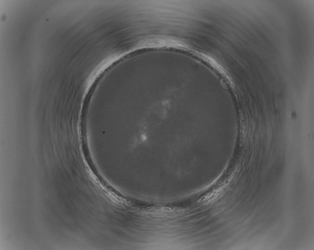 X0000067390943200604031029