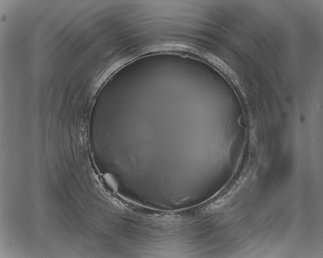 X0000067390945200604031029