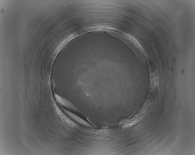 X0000067390946200604031029