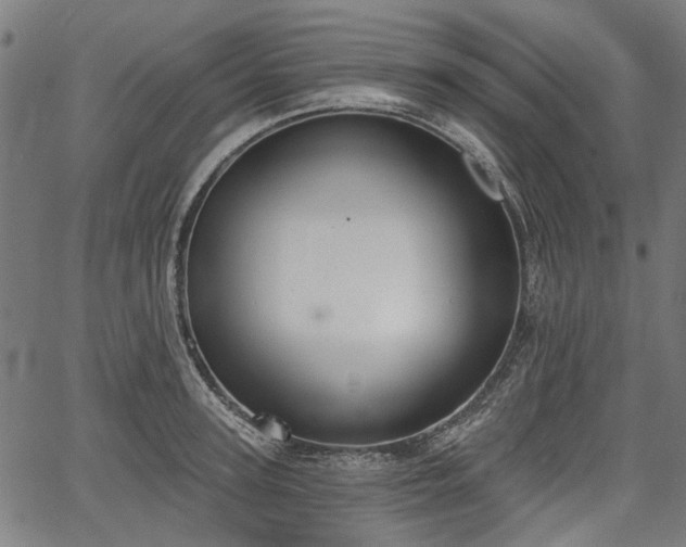 X0000067390947200604031029