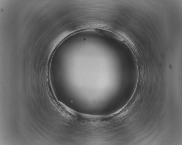 X0000067390948200604031029