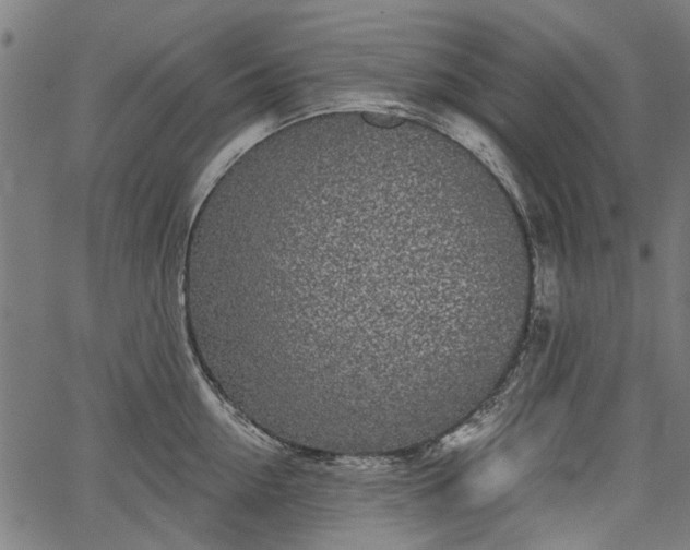 X0000067390954200604031029