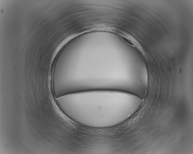 X0000067390955200604031029