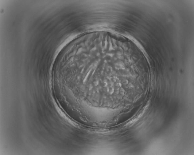 X0000067390957200604031029