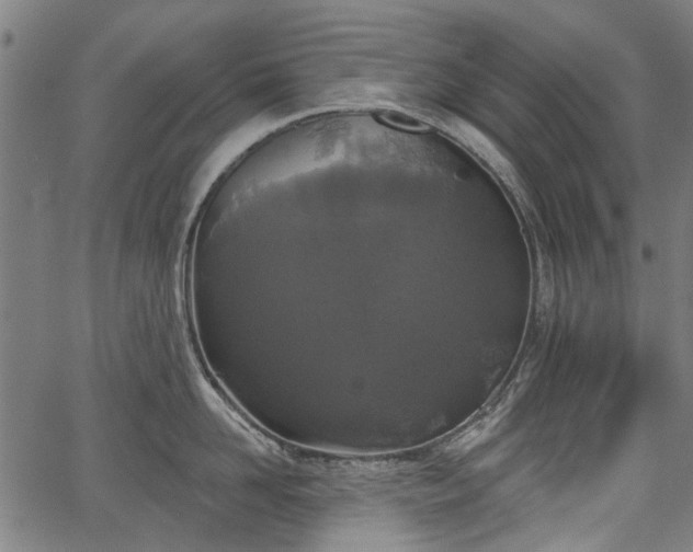 X0000067390958200604031029