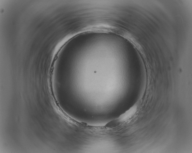 X0000067390960200604031029