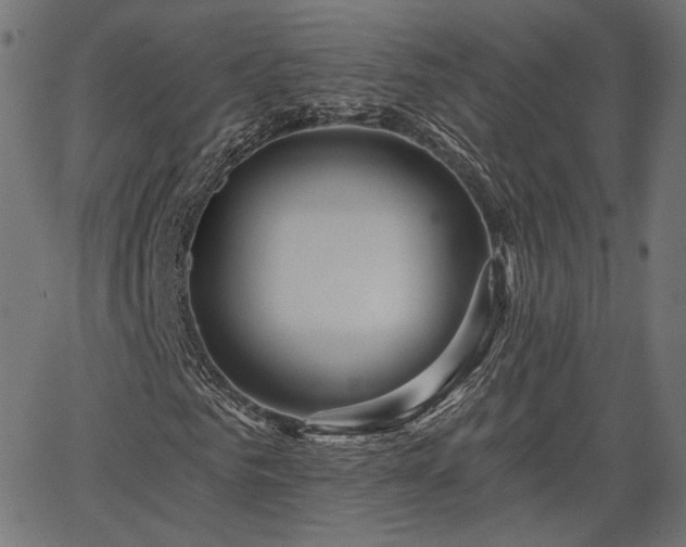 X0000067390961200604031029