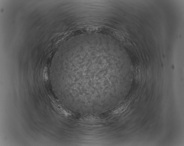 X0000067390962200604031029