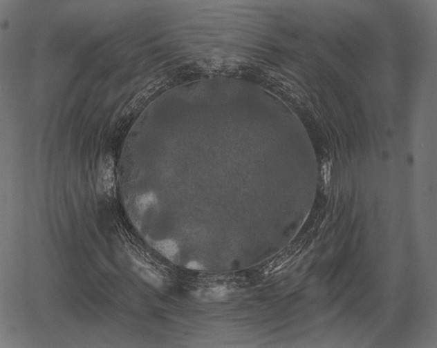 X0000067390963200604031029