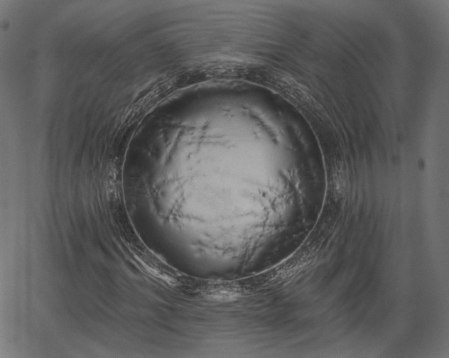 X0000067390964200604031029