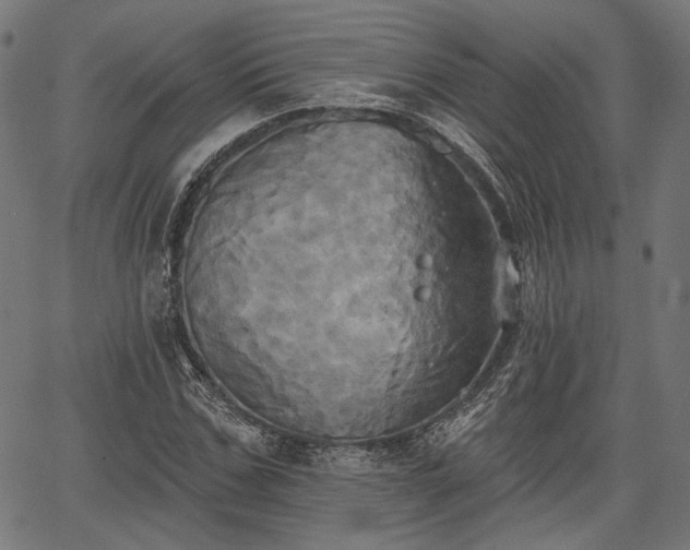 X0000067390971200604031028