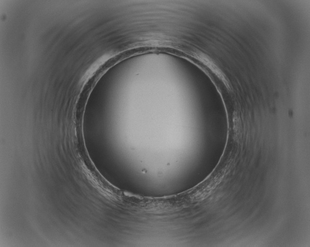 X0000067390972200604031028