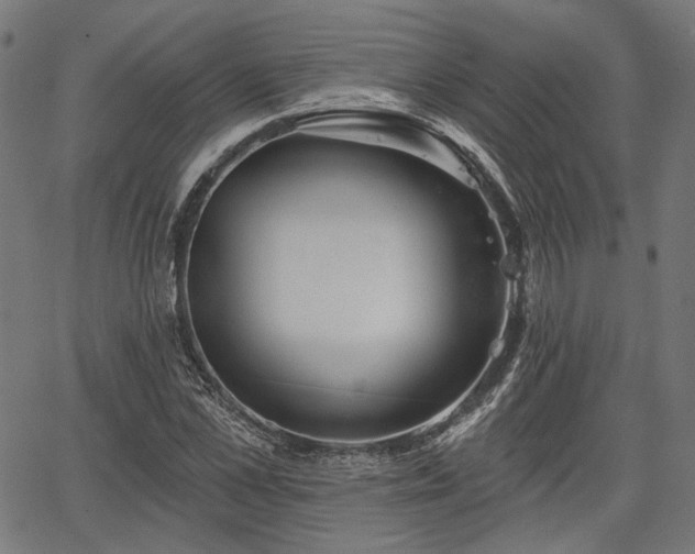 X0000067390973200604031028