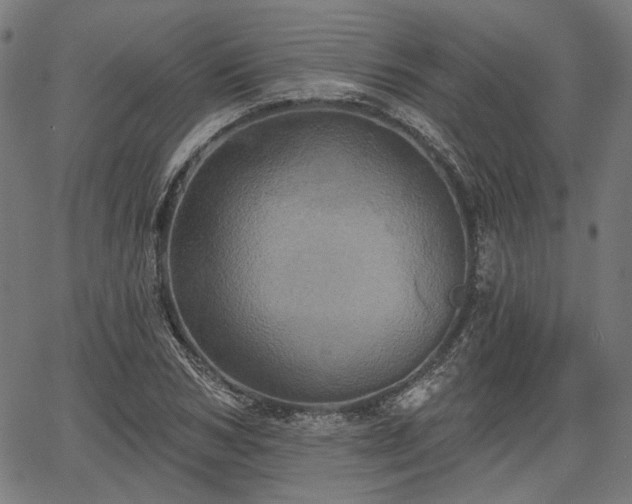 X0000067390978200604031028