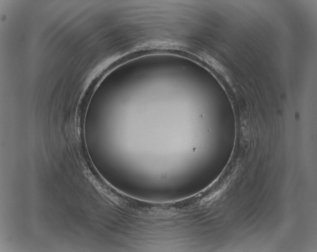 X0000067390981200604031028