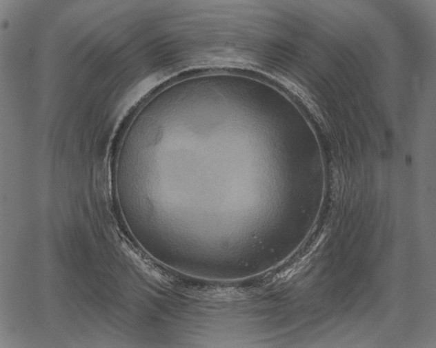 X0000067390982200604031028