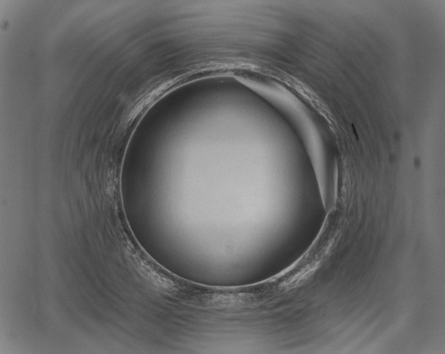 X0000067390985200604031028