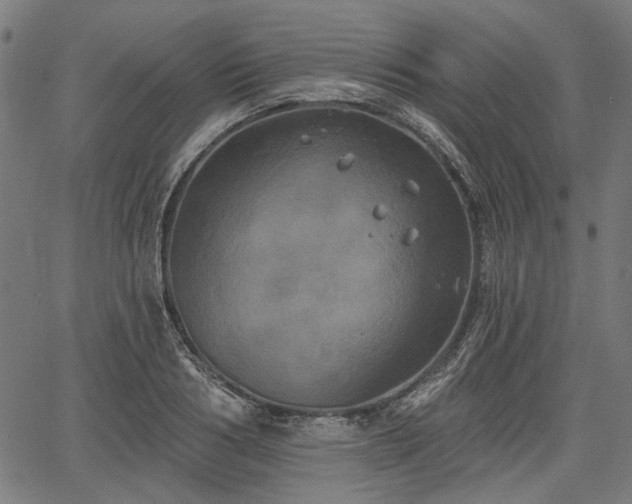 X0000067390986200604031028