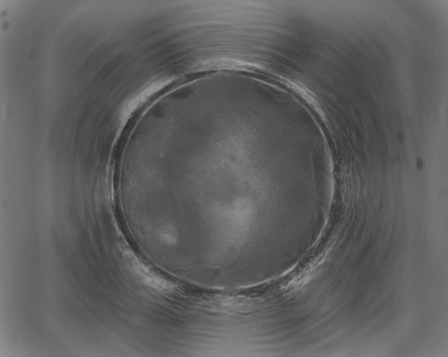 X0000067390987200604031028