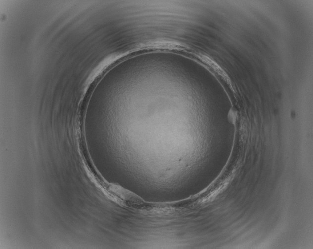 X0000067390989200604031028