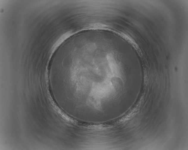 X0000067390990200604031028