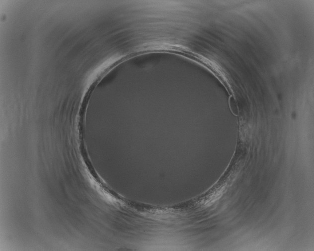 X0000067390995200604031028