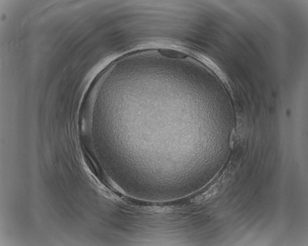 X0000067390996200604031028