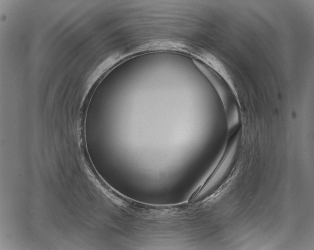 X0000067390997200604031028