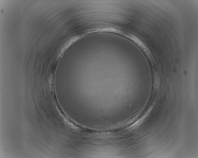 X0000067391001200604031028