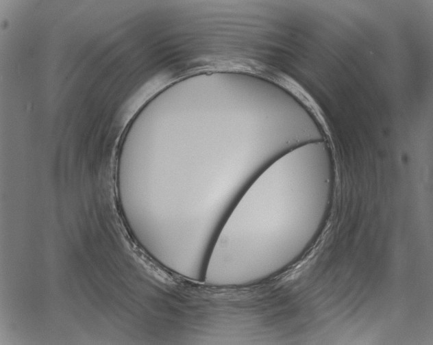 X0000067391002200604031028