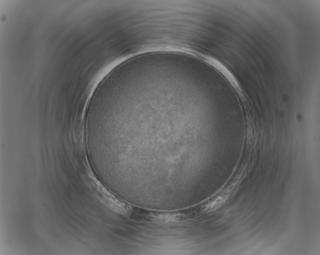 X0000067391004200604031028