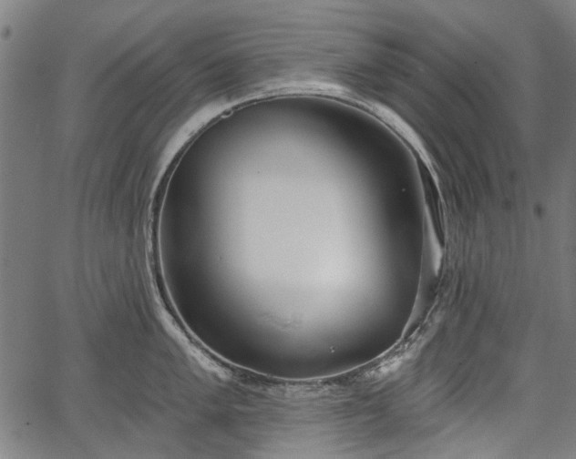 X0000067391005200604031028