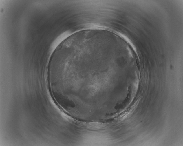 X0000067391007200604031028