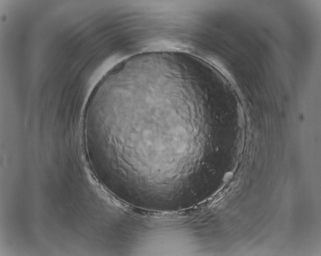 X0000067391008200604031028