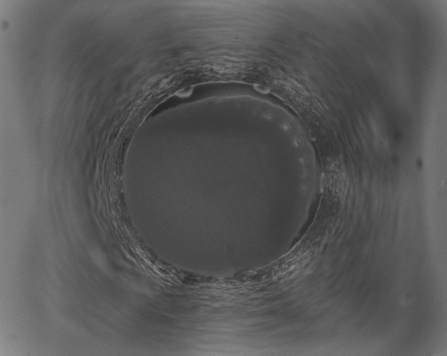 X0000067391009200604031027