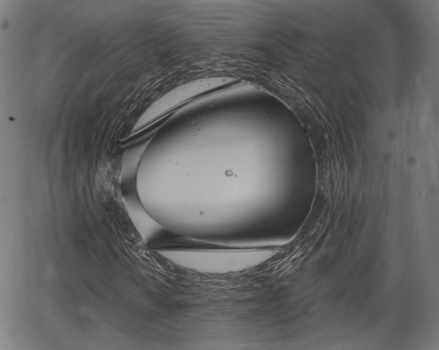 X0000067391010200604031027