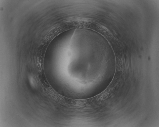 X0000067391013200604031027