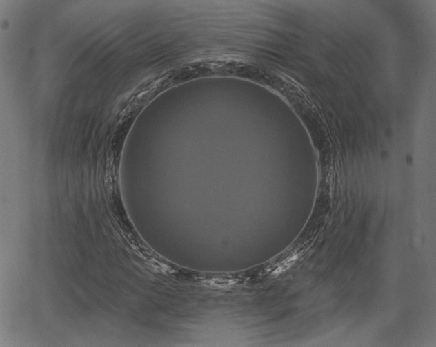 X0000067391014200604031027