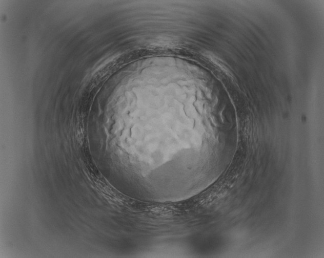 X0000067391015200604031027