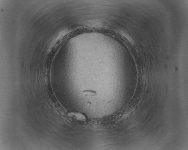 X0000067391016200604031027