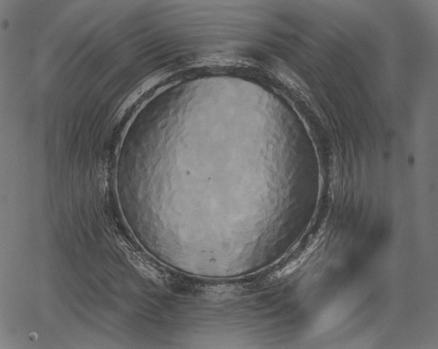 X0000067391017200604031027