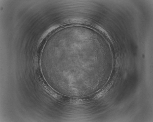 X0000067391019200604031027