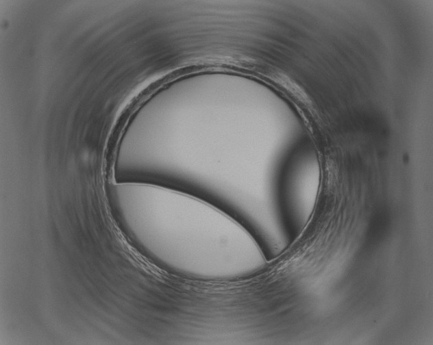 X0000067391020200604031027