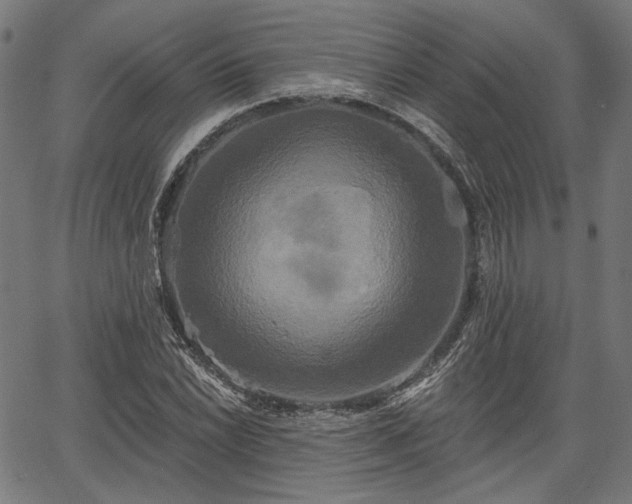 X0000067391022200604031027