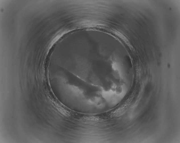 X0000067391023200604031027